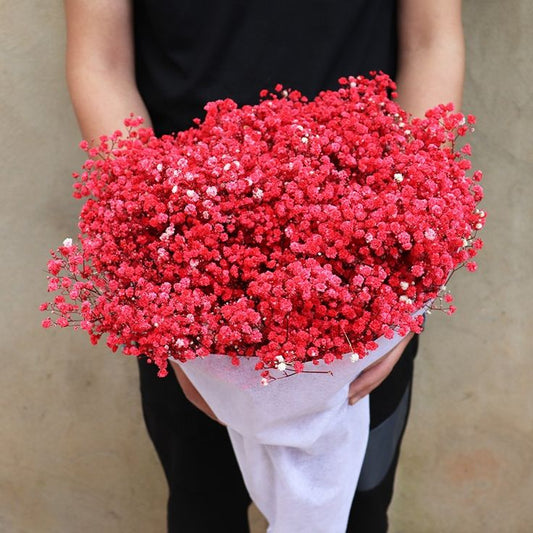 Bakewareind Baby Breath Gysophilia Dried Flower, Red - Bakeware India