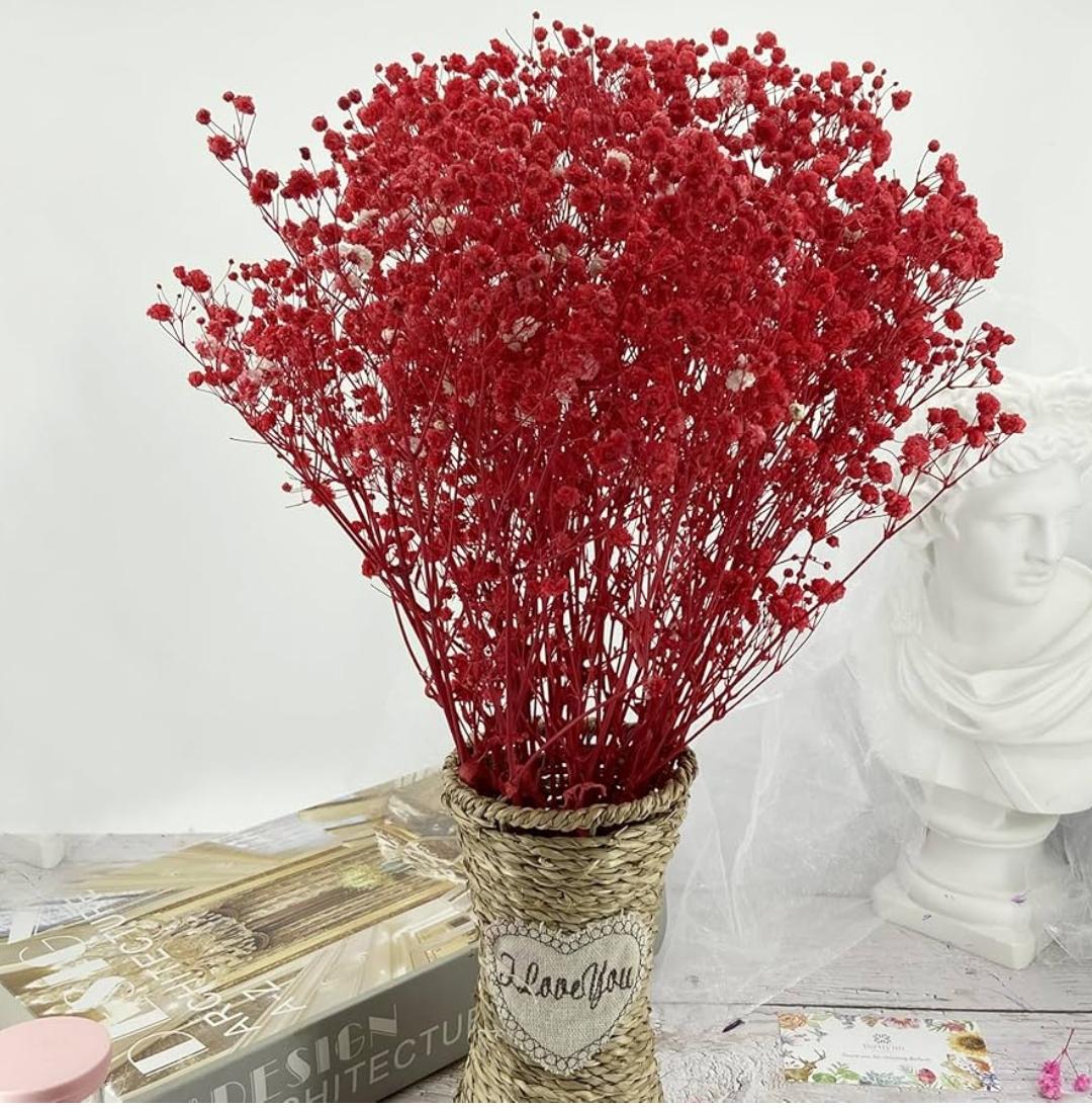 Bakewareind Baby Breath Gysophilia Dried Flower, Red - Bakeware India