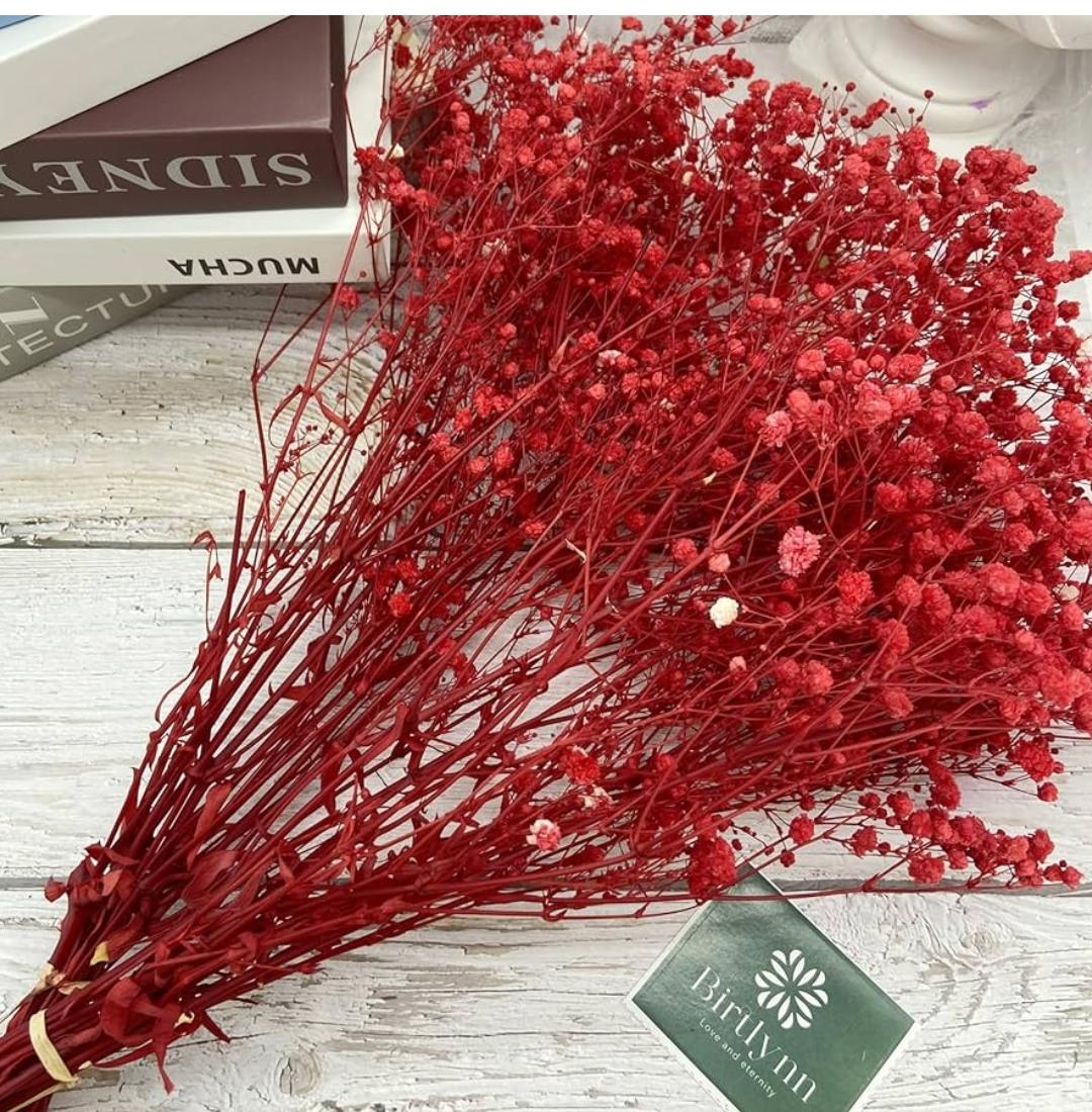 Bakewareind Baby Breath Gysophilia Dried Flower, Red - Bakeware India