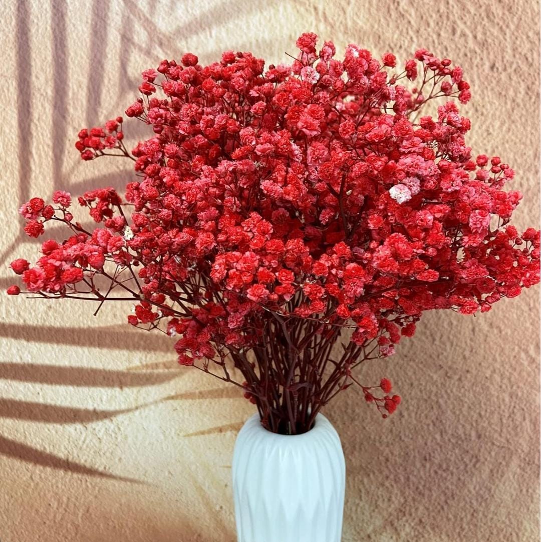 Bakewareind Baby Breath Gysophilia Dried Flower, Red - Bakeware India