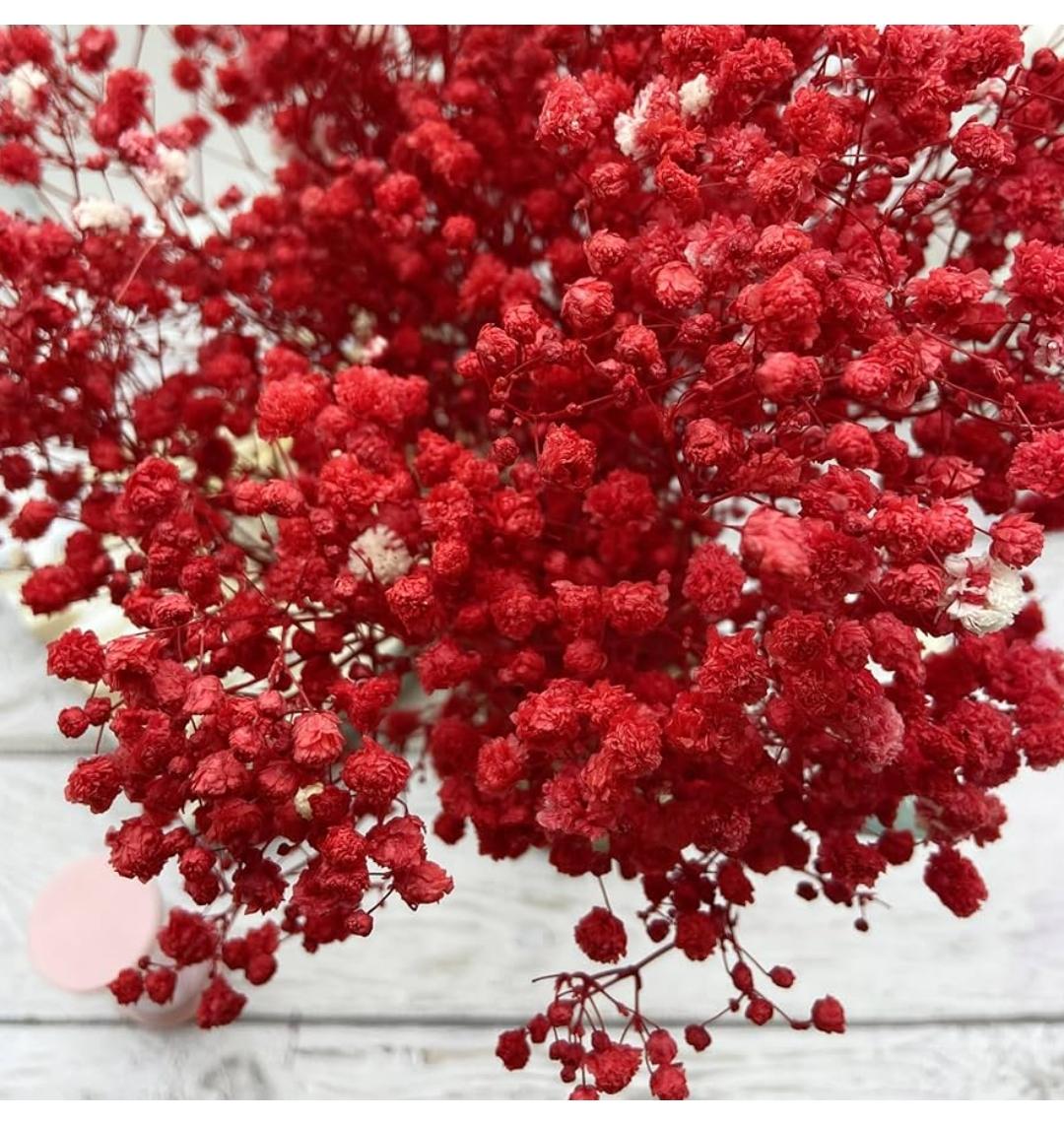Bakewareind Baby Breath Gysophilia Dried Flower, Red - Bakeware India