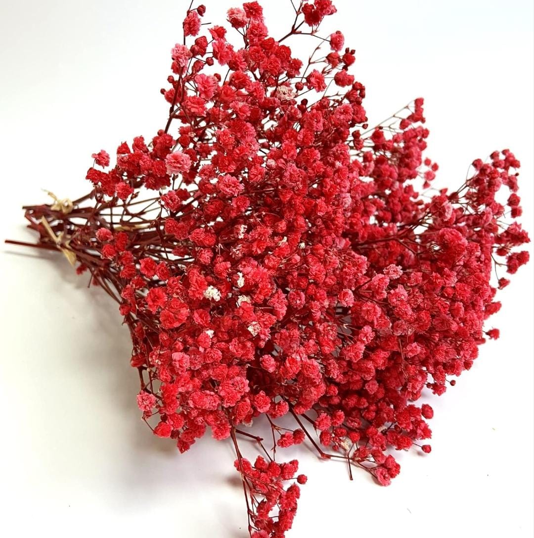 Bakewareind Baby Breath Gysophilia Dried Flower, Red - Bakeware India