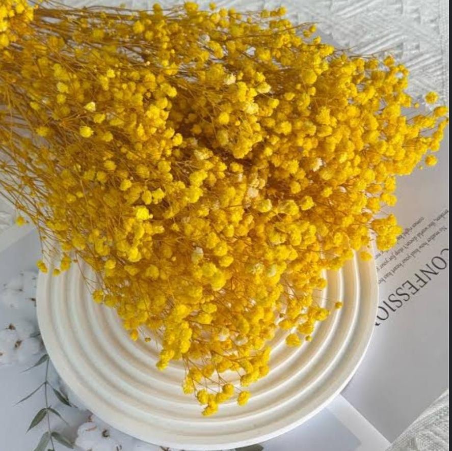 Bakewareind Baby Breath Gysophilia Dried Flower, Yellow - Bakeware India