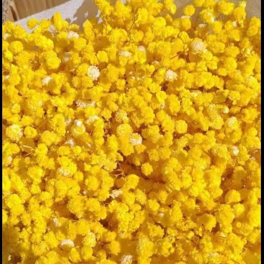 Bakewareind Baby Breath Gysophilia Dried Flower, Yellow - Bakeware India