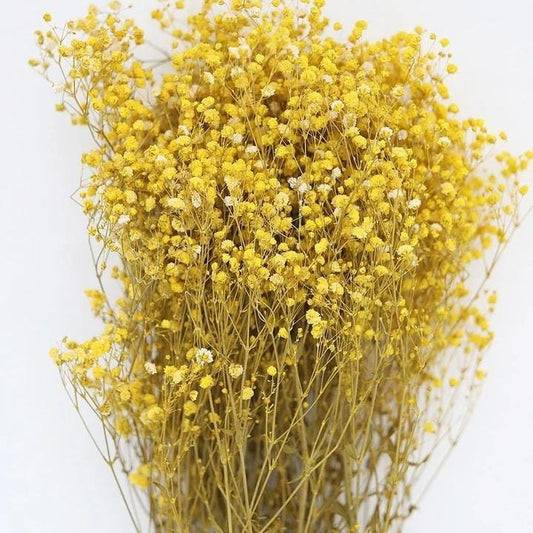 Bakewareind Baby Breath Gysophilia Dried Flower, Yellow - Bakeware India