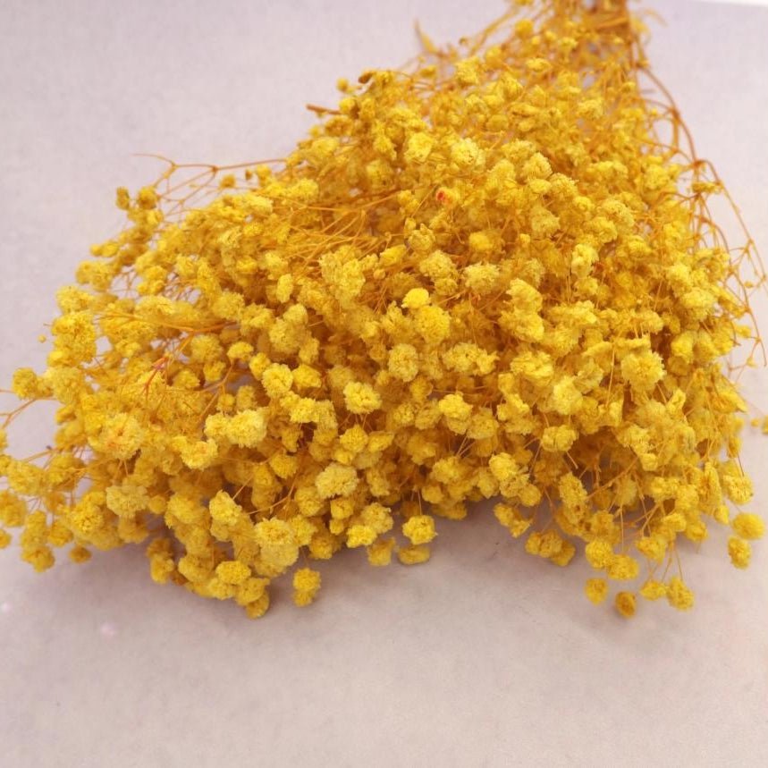 Bakewareind Baby Breath Gysophilia Dried Flower, Yellow - Bakeware India