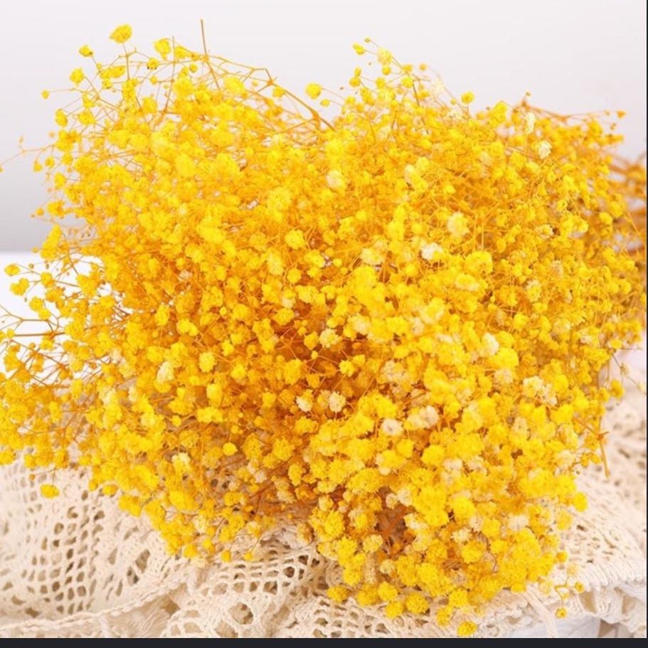 Bakewareind Baby Breath Gysophilia Dried Flower, Yellow - Bakeware India