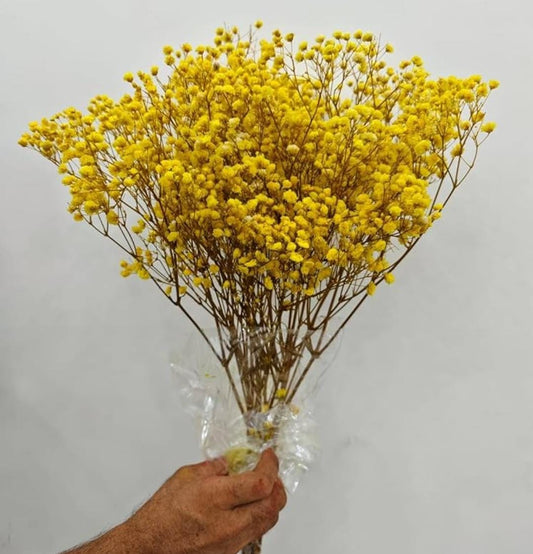 Bakewareind Baby Breath Gysophilia Dried Flower, Yellow - Bakeware India