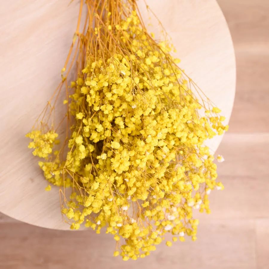 Bakewareind Baby Breath Gysophilia Dried Flower, Yellow - Bakeware India