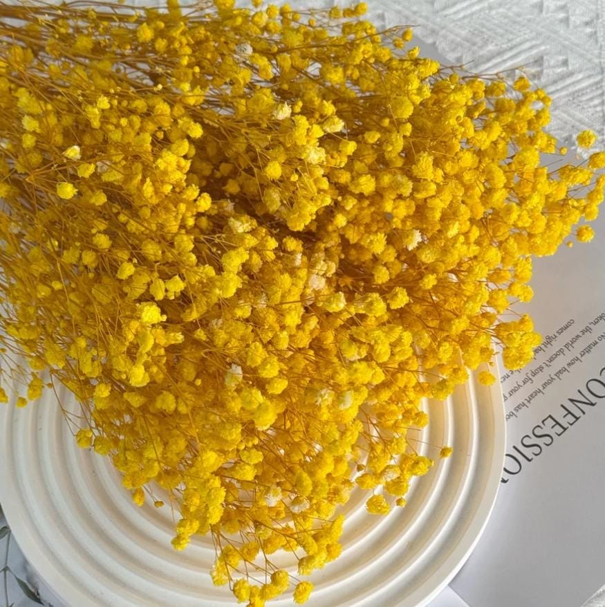 Bakewareind Baby Breath Gysophilia Dried Flower, Yellow - Bakeware India