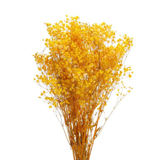 Bakewareind Baby Breath Gysophilia Dried Flower, Yellow - Bakeware India