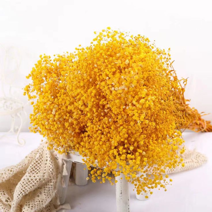 Bakewareind Baby Breath Gysophilia Dried Flower, Yellow - Bakeware India