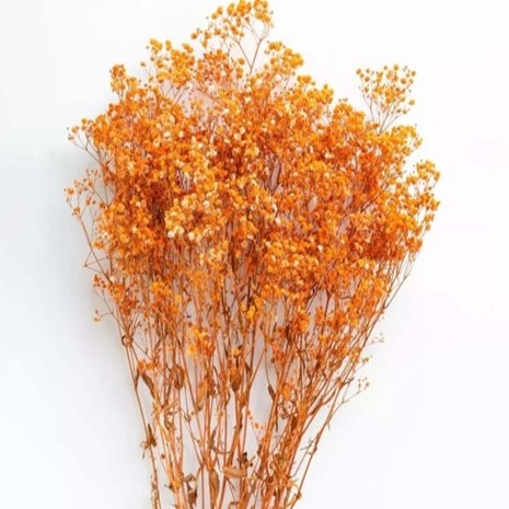 Bakewareind Baby Breath Gysophilia Dried Flower,Orange