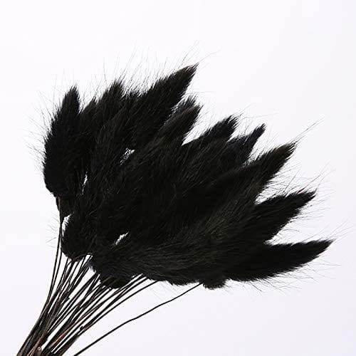 Bakewareind Bunny Tails Natural Dried Flower, Black - Bakeware India