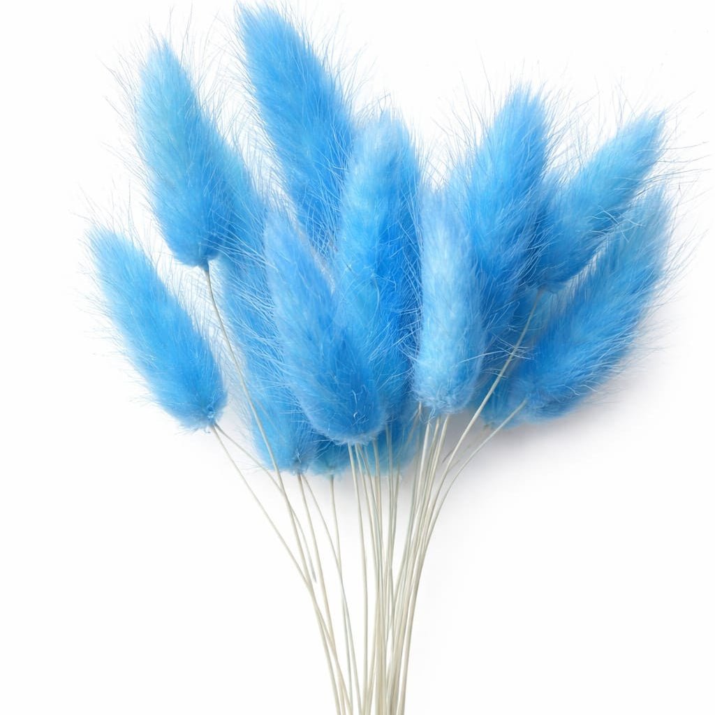 Bakewareind Bunny Tails Natural Dried Flower Pack, [ Select Color ] - Bakeware India