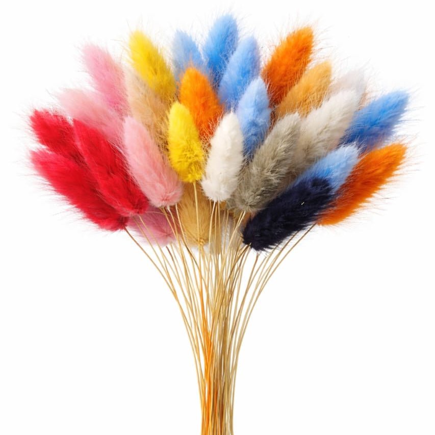 Bakewareind Bunny Tails Natural Dried Flower Pack, [ Select Color ] - Bakeware India