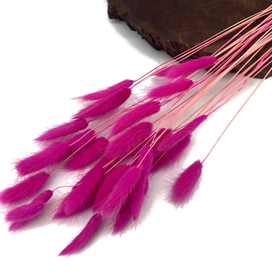 Bakewareind Bunny Tails Natural Dried Flower Preserved , Dark Pink - Bakeware India