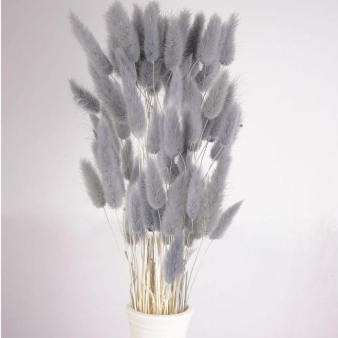 Bakewareind Bunny Tails Natural Dried Flower Preserved, Grey - Bakeware India