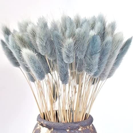 Bakewareind Bunny Tails Natural Dried Flower Preserved, Grey - Bakeware India