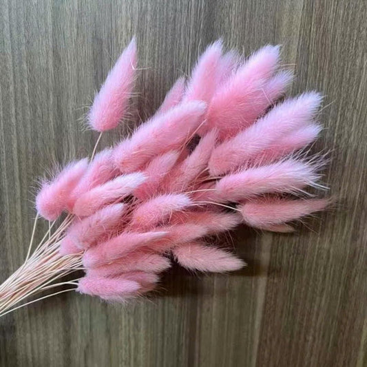 Bakewareind Bunny Tails Natural Dried Flower Preserved, Pink - Bakeware India