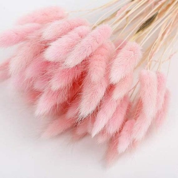 Bakewareind Bunny Tails Natural Dried Flower Preserved , Pink - Bakeware India