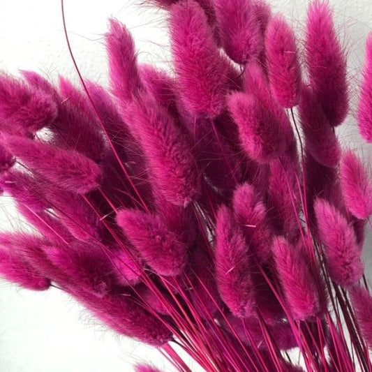 Bakewareind Bunny Tails Natural Dried Flower Preserved, Rose Pink - Bakeware India