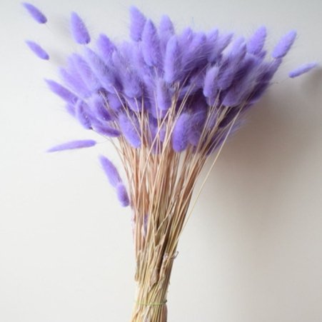 Bakewareind Bunny Tails Natural Dried Flower,Purple - Bakeware India