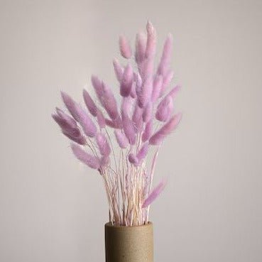 Bakewareind Bunny Tails Natural Dried Flower,Purple - Bakeware India