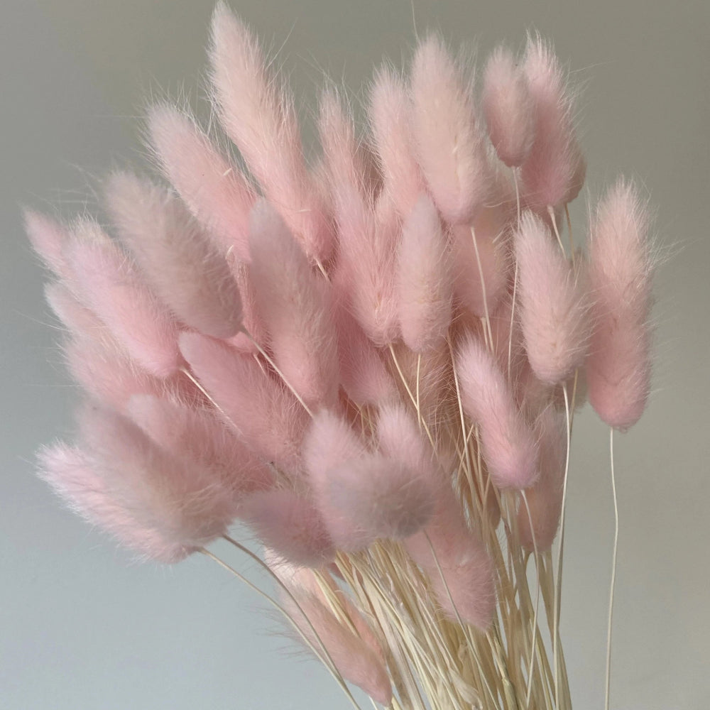 Bakewareind Bunny Tails Natural Dried, Light Pink - Bakeware India