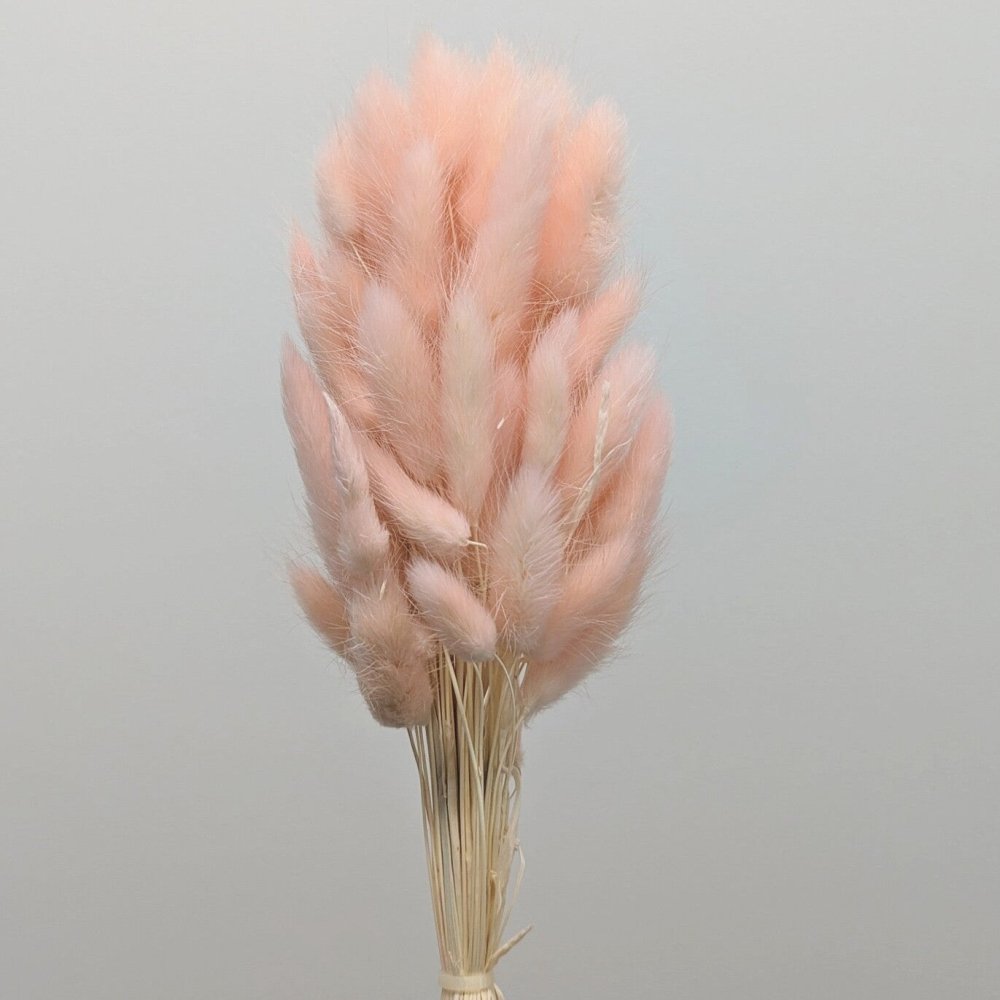 Bakewareind Bunny Tails Natural Dried, Light Pink - Bakeware India