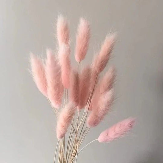 Bakewareind Bunny Tails Natural Dried, Light Pink - Bakeware India