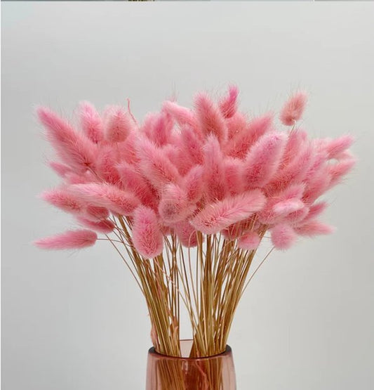 Bakewareind Bunny Tails Natural Dried, Pink - Bakeware India