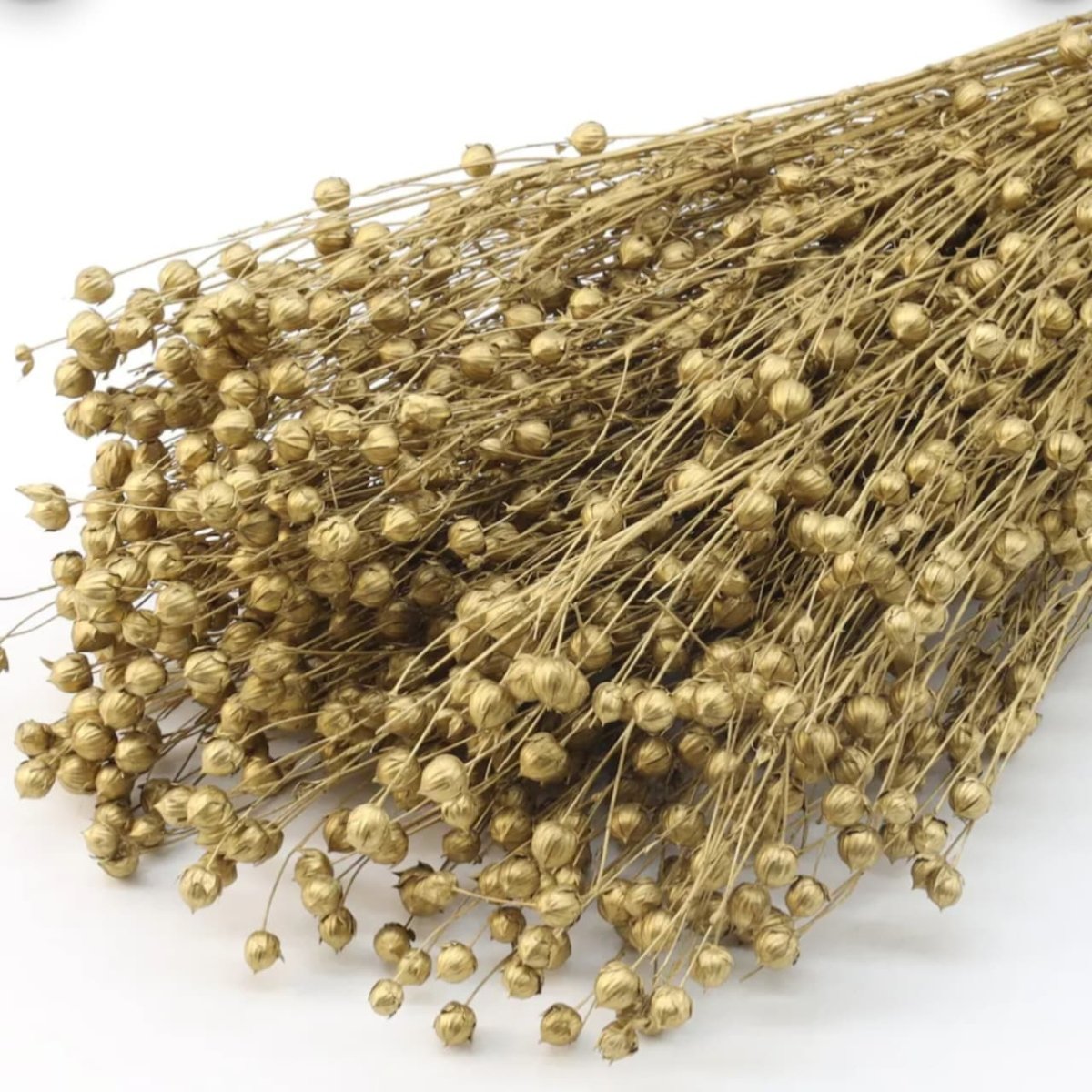 Bakewareind Dried Acacia Bean Flower Preserved, Golden - Bakeware India