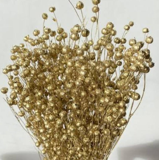 Bakewareind Dried Acacia Bean Flower Preserved, Golden - Bakeware India
