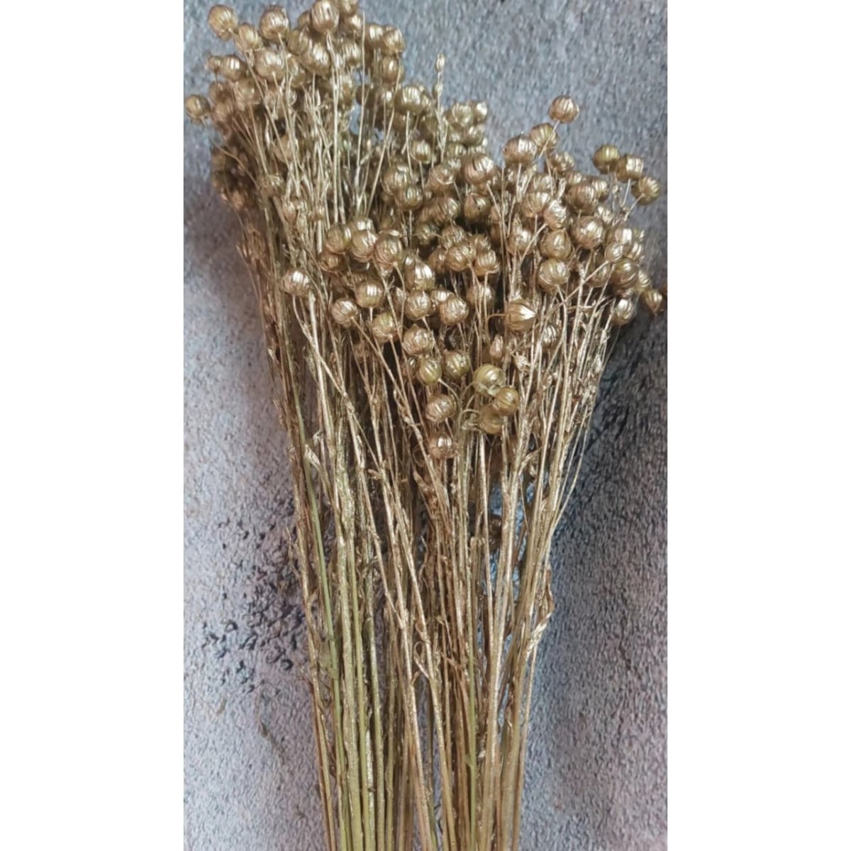 Bakewareind Dried Acacia Bean Flower Preserved, Golden - Bakeware India