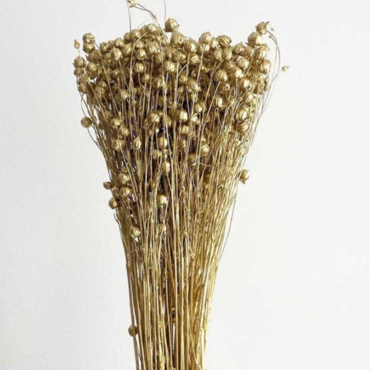 Bakewareind Dried Acacia Bean Flower Preserved, Golden - Bakeware India
