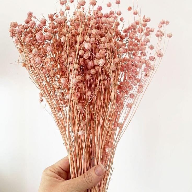 Bakewareind Dried Acacia Bean Flower Preserved, Pink - Bakeware India