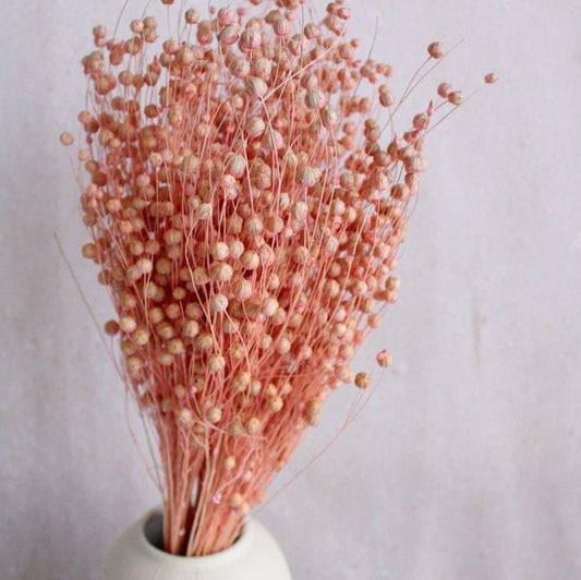 Bakewareind Dried Acacia Bean Flower Preserved, Pink - Bakeware India