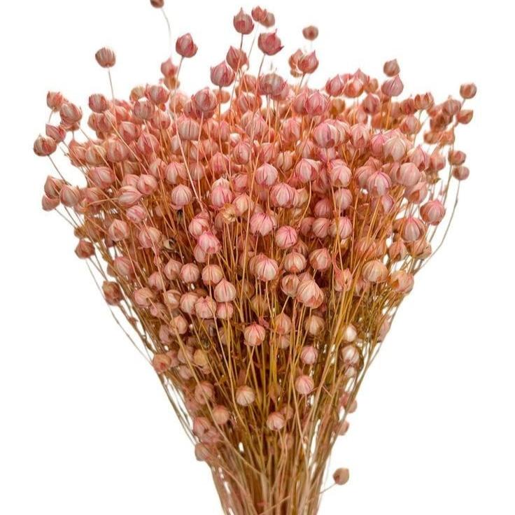 Bakewareind Dried Acacia Bean Flower Preserved, Pink - Bakeware India