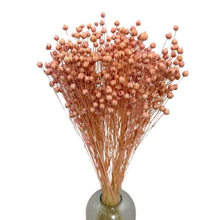 Bakewareind Dried Acacia Bean Flower Preserved, Pink - Bakeware India