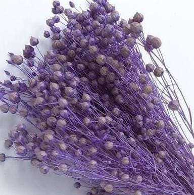 Bakewareind Dried Acacia Bean Flower Preserved, Purple - Bakeware India