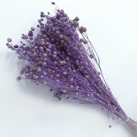 Bakewareind Dried Acacia Bean Flower Preserved, Purple - Bakeware India