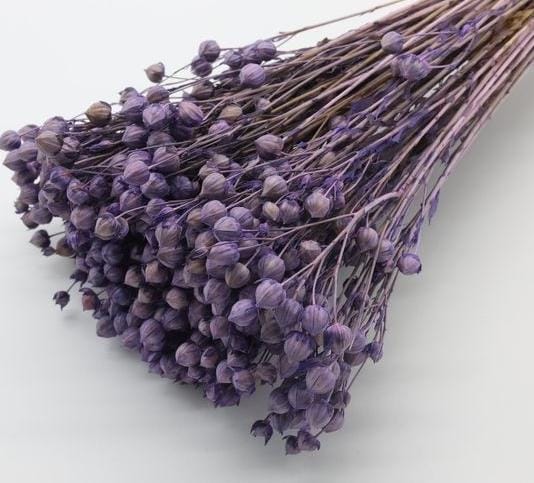 Bakewareind Dried Acacia Bean Flower Preserved, Purple - Bakeware India