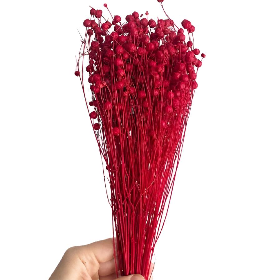 Bakewareind Dried Acacia Bean Flower Preserved, Red - Bakeware India