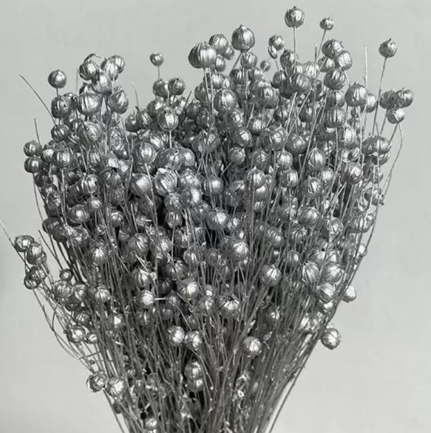 Bakewareind Dried Acacia Bean Flower Preserved, Silver - Bakeware India