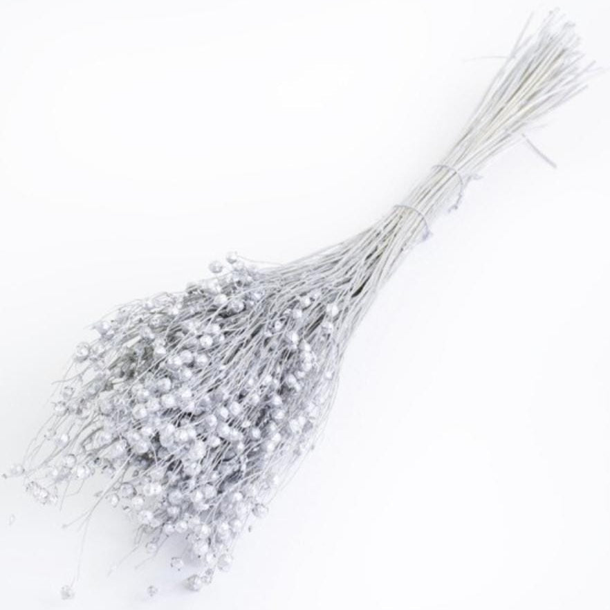 Bakewareind Dried Acacia Bean Flower Preserved, Silver - Bakeware India