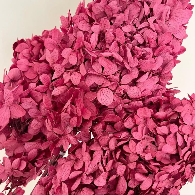Bakewareind Dried Cone Hydrangeas Leaves Preserved, Burgundy - Bakeware India