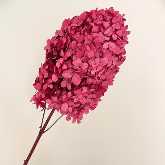 Bakewareind Dried Cone Hydrangeas Leaves Preserved, Burgundy - Bakeware India