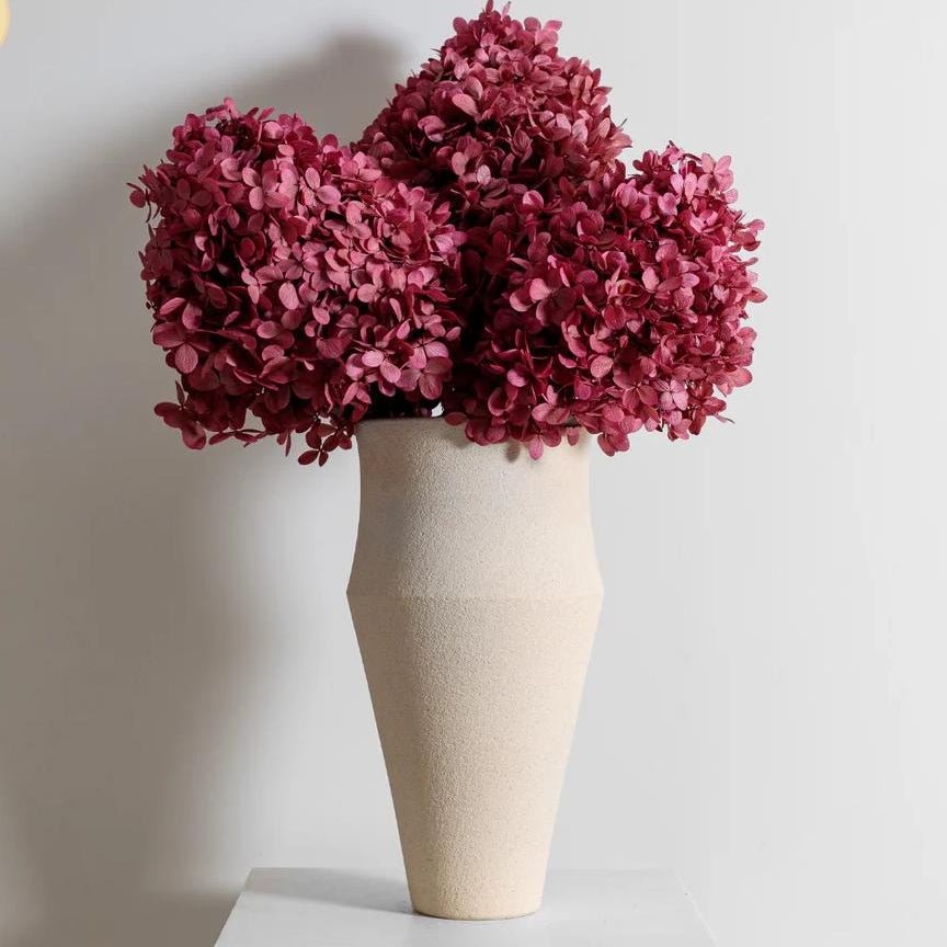 Bakewareind Dried Cone Hydrangeas Leaves Preserved, Burgundy - Bakeware India