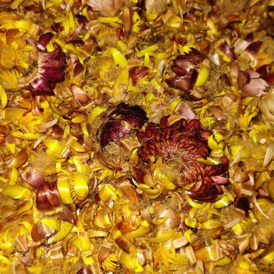 Bakewareind Dried Daisy Sunflower Petals - Bakeware India
